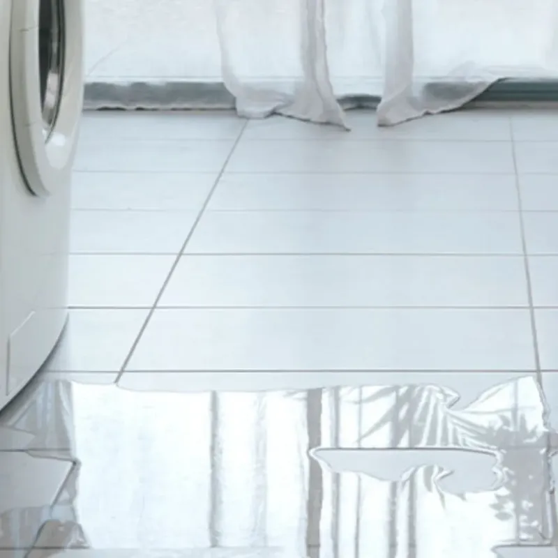 Appliance Leak Cleanup in Albany, MO