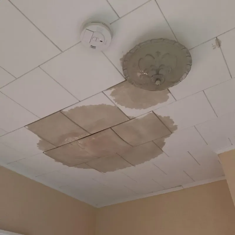 Ceiling Water Damage Repair in Albany, MO